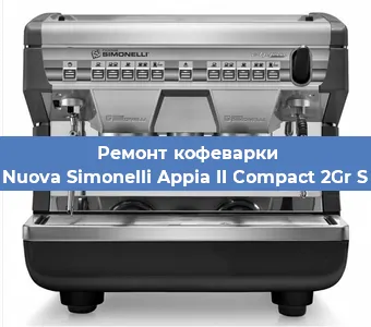 Чистка кофемашины Nuova Simonelli Appia II Compact 2Gr S от накипи в Волгограде